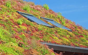 Hart living roof systems